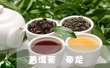 普洱茶 帝龙/2023042979023